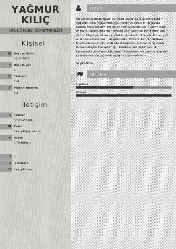 cv indir
